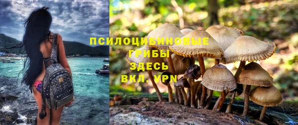 mdpv Верея