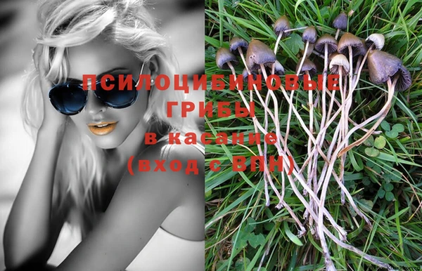 mdpv Верея