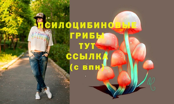mdpv Верея