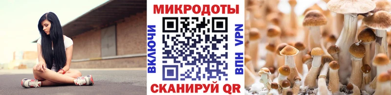 Галлюциногенные грибы ЛСД  Нарткала 